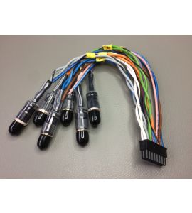 Audison ACP6 adapter cable.